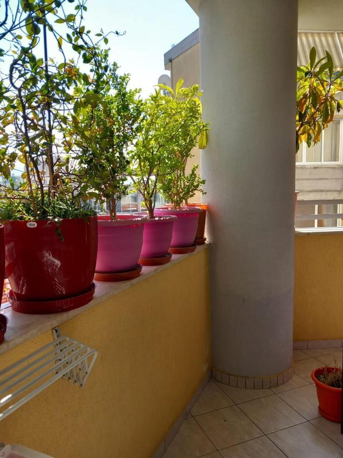 Holiday Center Apartment Shkodër Extérieur photo